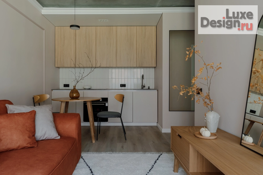Дизайн интерьера однокомнатной квартиры "Дизанй интереьра для флипинг проекта" (фото 1)
